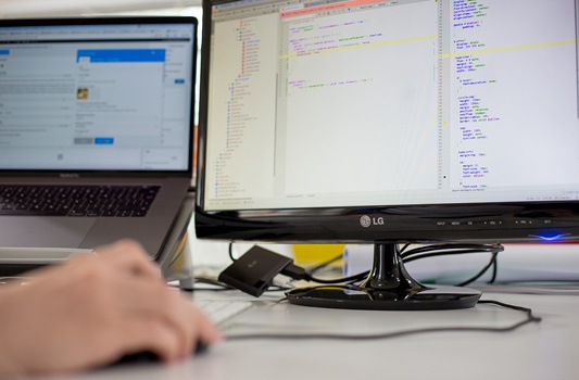 web dev web dev